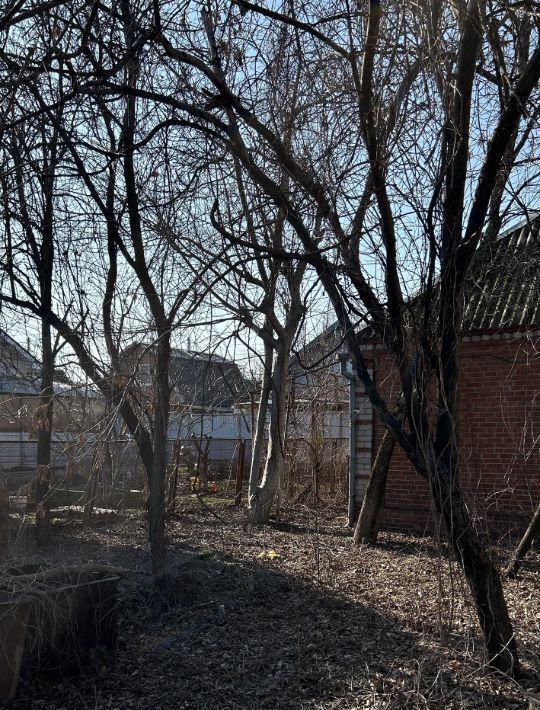 земля г Краснодар п Лазурный снт Автомагистраль ул Малиновая 8 муниципальное образование фото 6