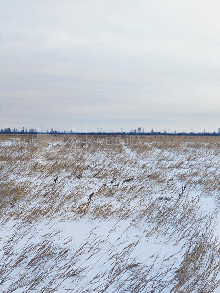 земля г Тюмень тракт Тобольский фото 2