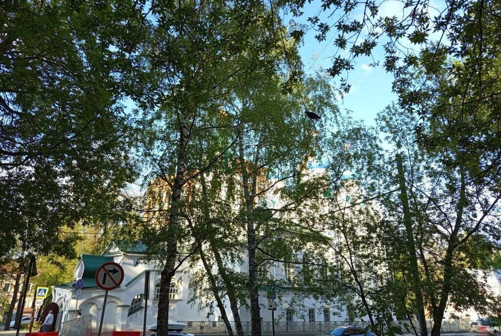 квартира г Нижний Новгород Горьковская ул Добролюбова 7 фото 4