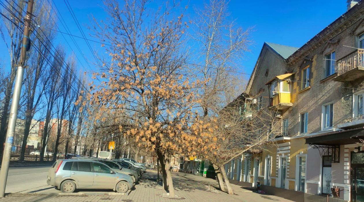торговое помещение г Саратов р-н Октябрьский ул Большая Садовая 100а фото 3