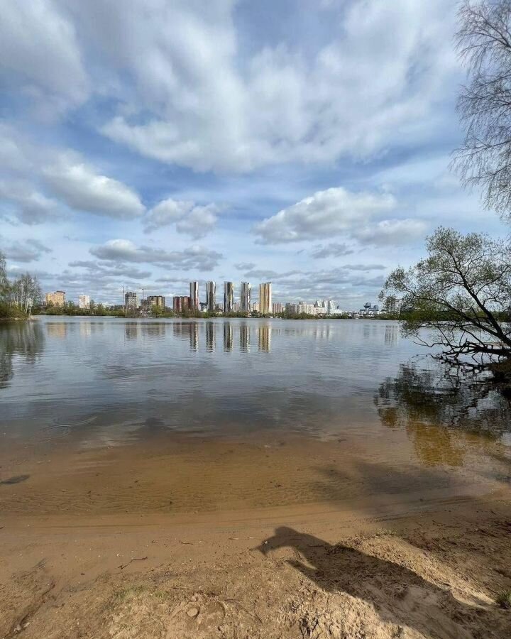 квартира г Москва п Филимонковское р-н квартал № 160 метро Павшино 1к 1 фото 21