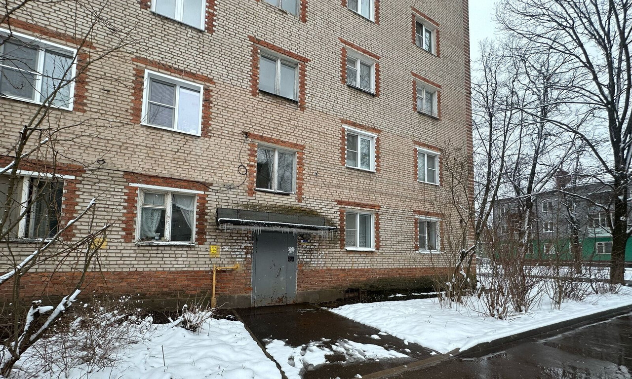 квартира городской округ Пушкинский г Красноармейск пр-кт Ленина 6 фото 1