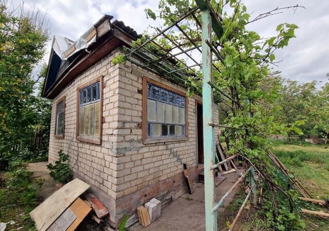 сад СНТ Цветущий ул Смородиновая Сад фото