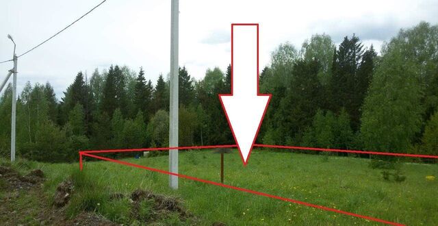 39 км, Листопадная ул, г. о. Домодедово, Новокаширское шоссе фото
