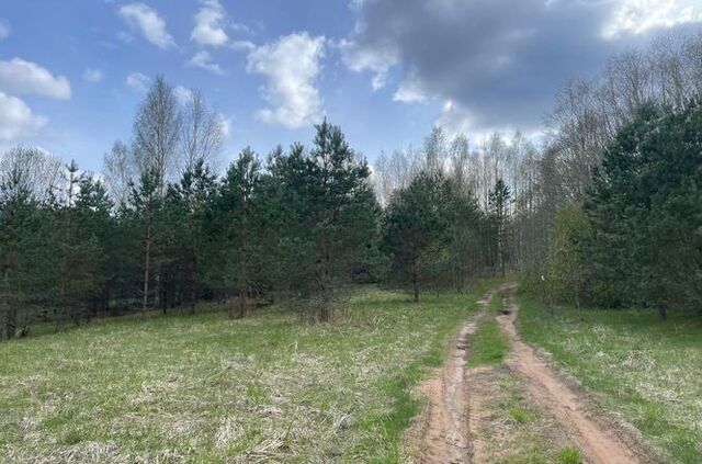 ул Молодёжная Крестцы фото