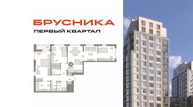 мкр Купелинка Бирюлёво фото