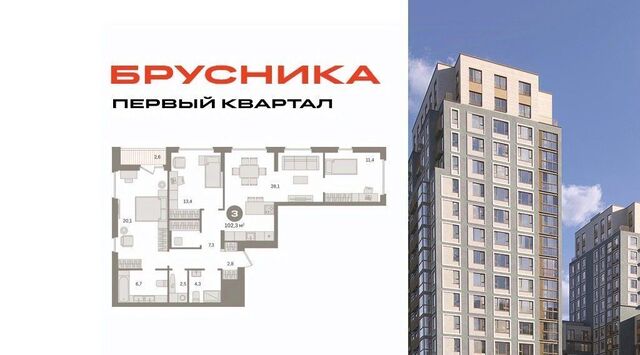 мкр Купелинка Бирюлёво фото
