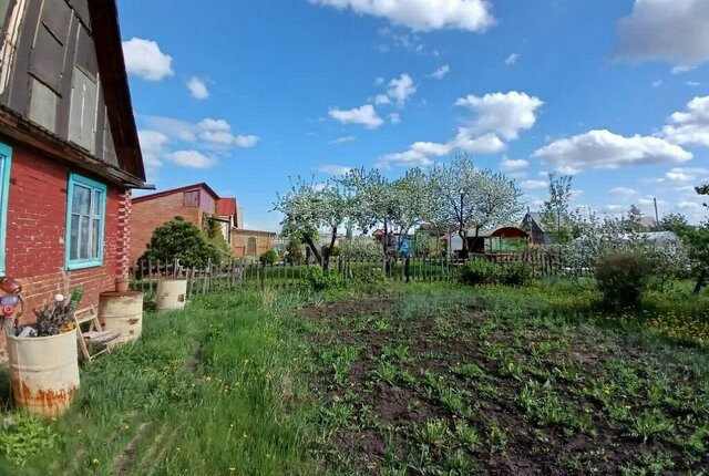 снт Весна Азовский немецкий район фото