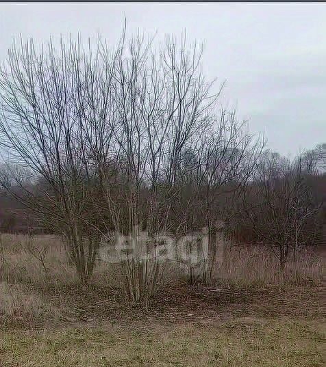 земля г Горячий Ключ п Кутаис фото 2