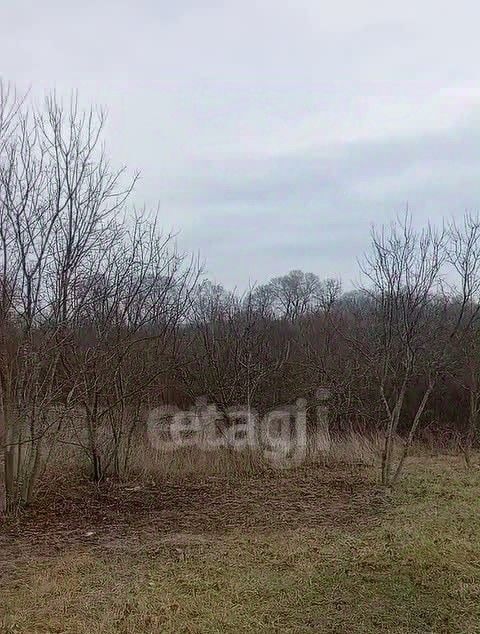 земля г Горячий Ключ п Кутаис фото 3