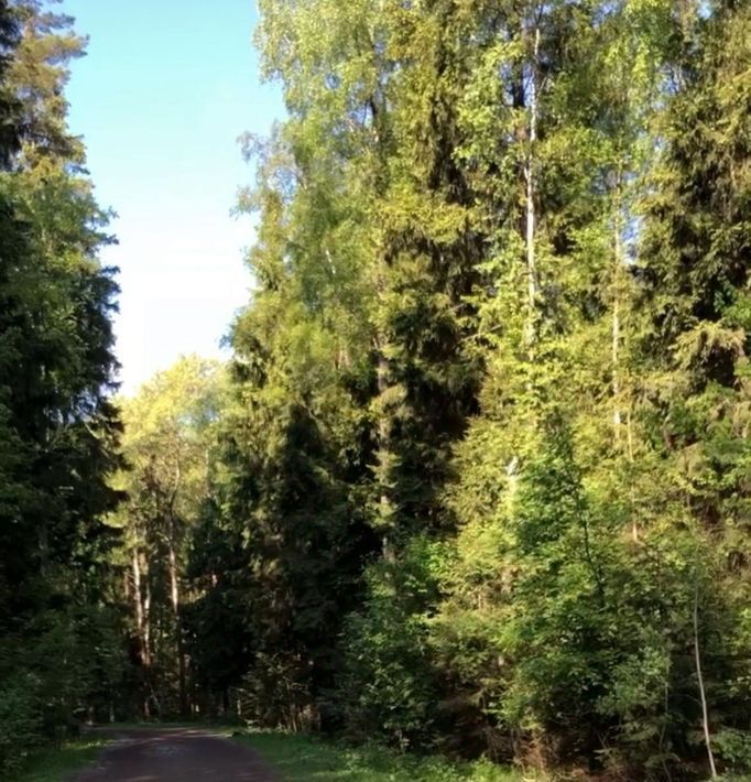 квартира г Химки мкр Новогорск ул Ивановская 2к/1 Планерная фото 3
