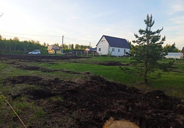 Двадцать первая ул фото