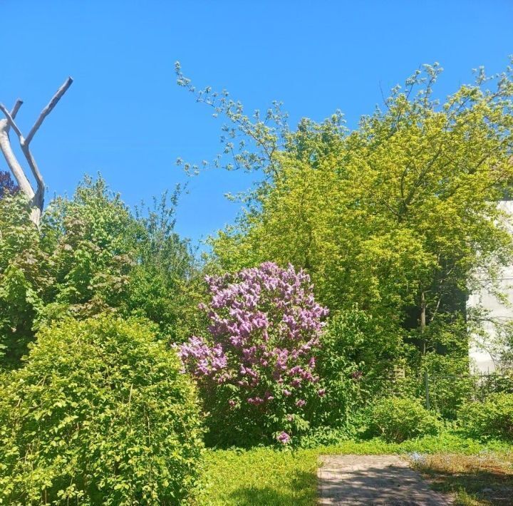 квартира г Калининград р-н Ленинградский ул Тургенева 12а фото 3