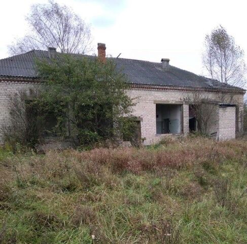 городской округ Лотошино д Коноплево фото