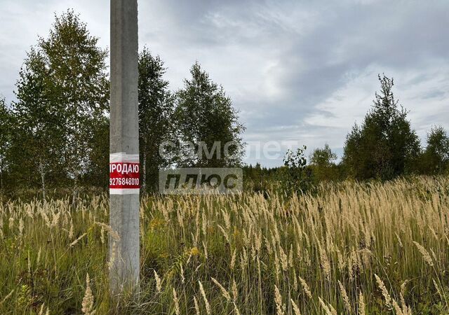 д Апшакбеляк фото