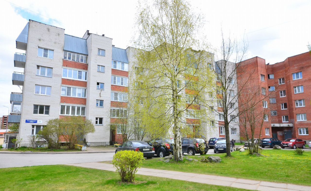квартира г Сосновый Бор проезд Липовский 11 Сосновоборский г. о. фото 18