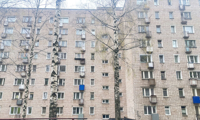 дом 55 фото