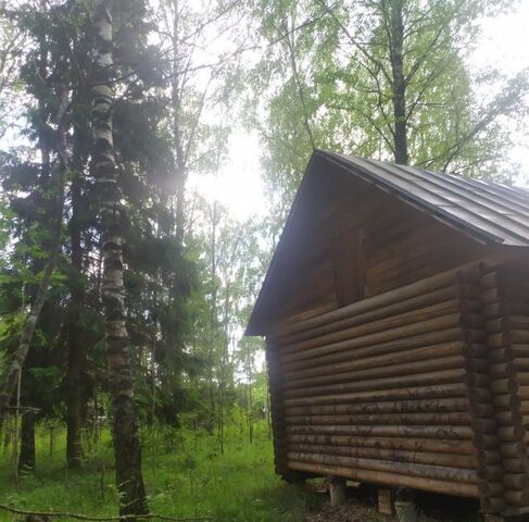 снт Орион Першинское муниципальное образование фото