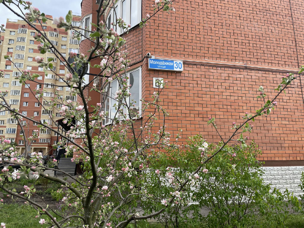 квартира г Раменское ул Молодежная 30 фото 10