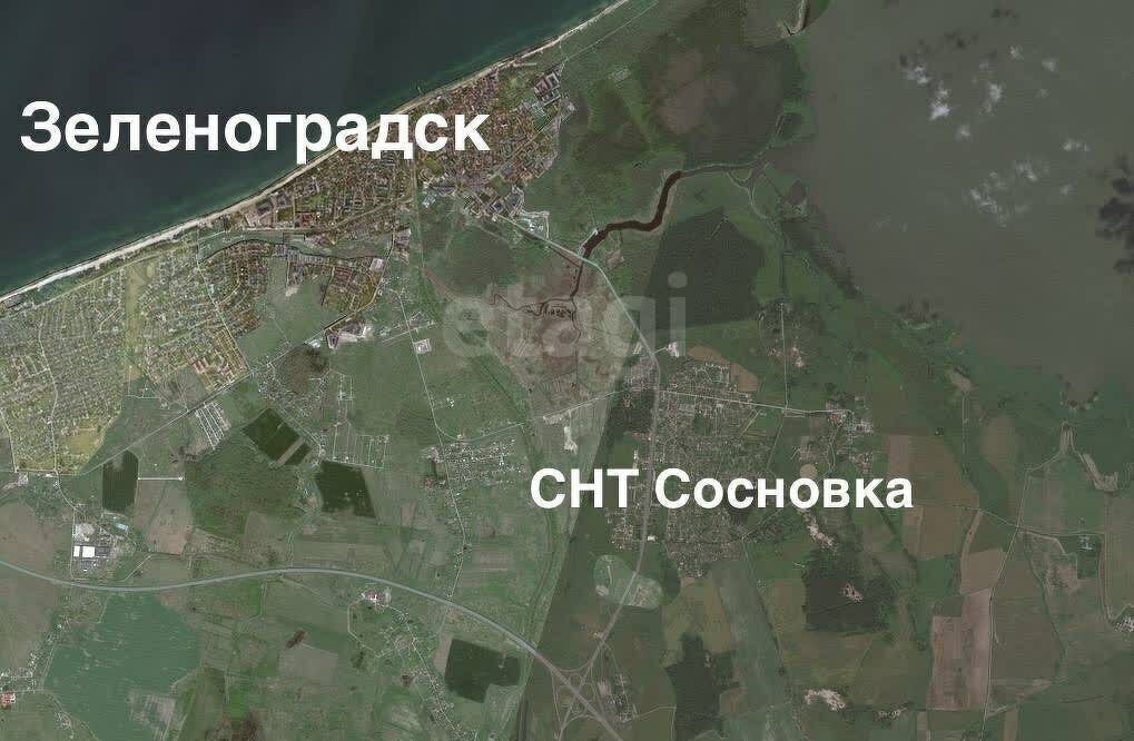 земля р-н Зеленоградский г Зеленоградск снт Сосновка фото 16