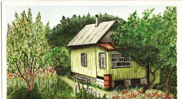 Еврейская автономная обл., СТ 13-й километр фото