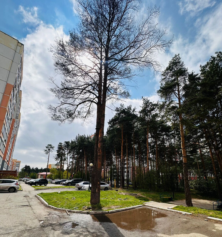 квартира г Томск Радужный ул Ленская 18 м-н фото 12