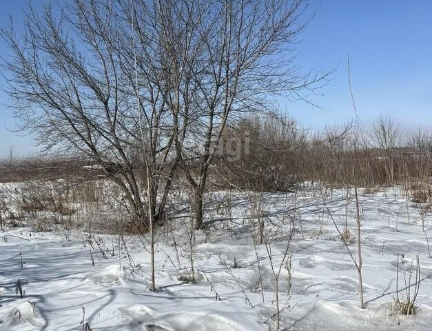 ул Транспортная фото