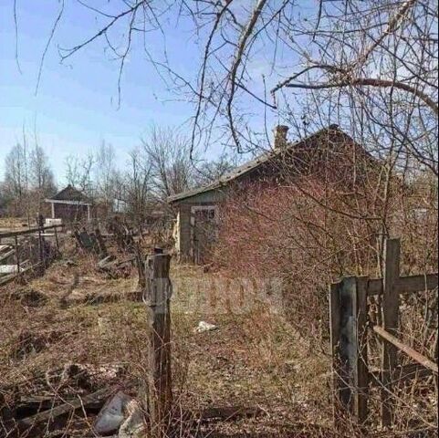 дом 25 фото