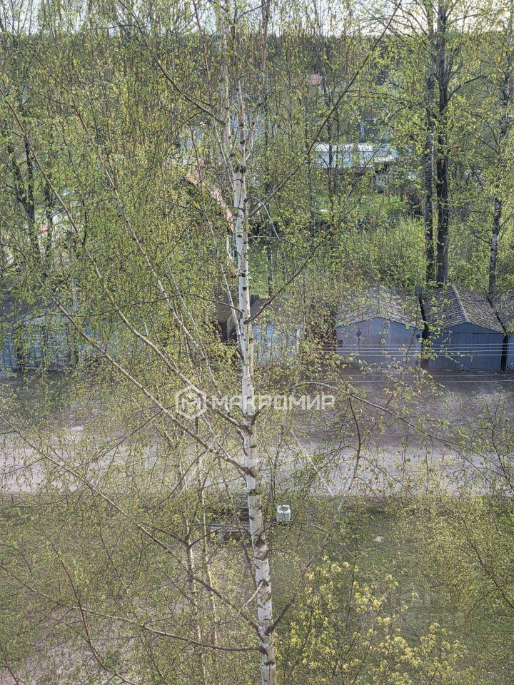 квартира р-н Всеволожский г Всеволожск ул Обороны 3к/1 Ладожская фото 22