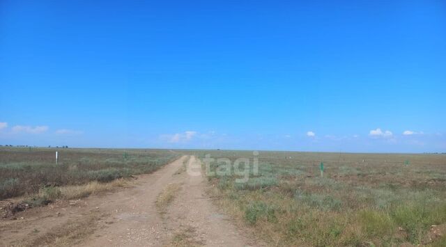 с Приветное ул Солнечная фото