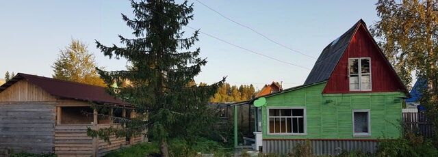 снт Связист 1-я линия фото