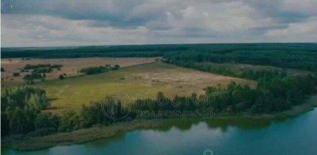 д Сурино Коломна городской округ фото