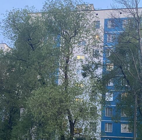 метро Пражская ул Дорожная 14к/1 фото