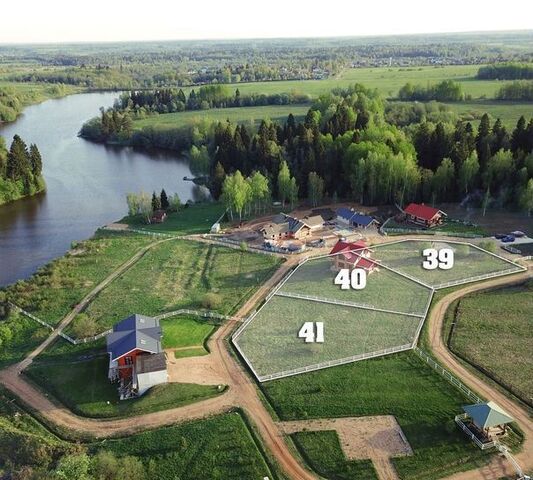 Александрийская фото