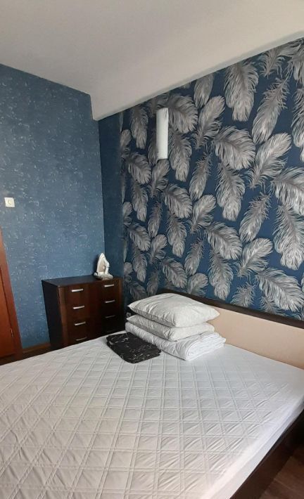 квартира г Колпино ул Октябрьская 67 Шушары фото 2