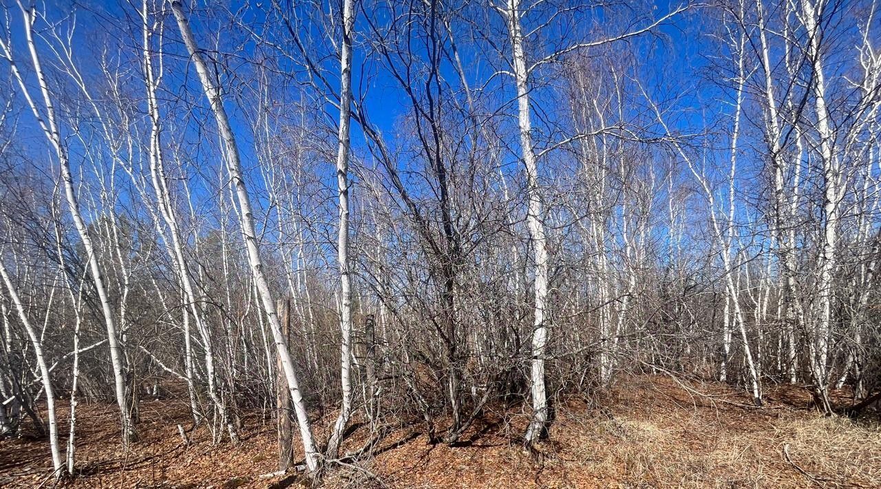 офис г Якутск фото 1