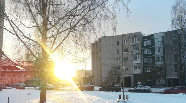 ш Крикковское 10 Кингисеппское городское поселение фото