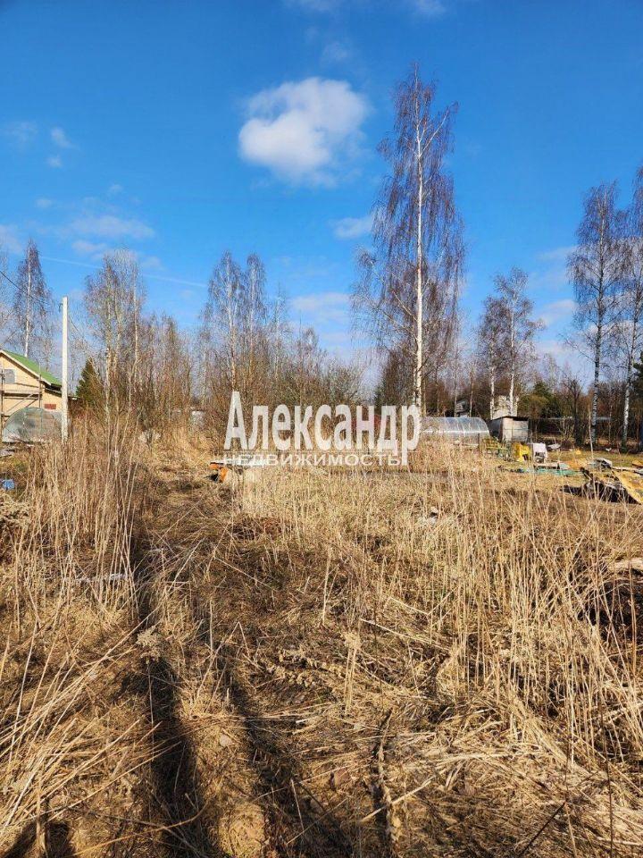 земля р-н Киришский г Кириши ш Волховское Глажевское сельское поселение фото 3