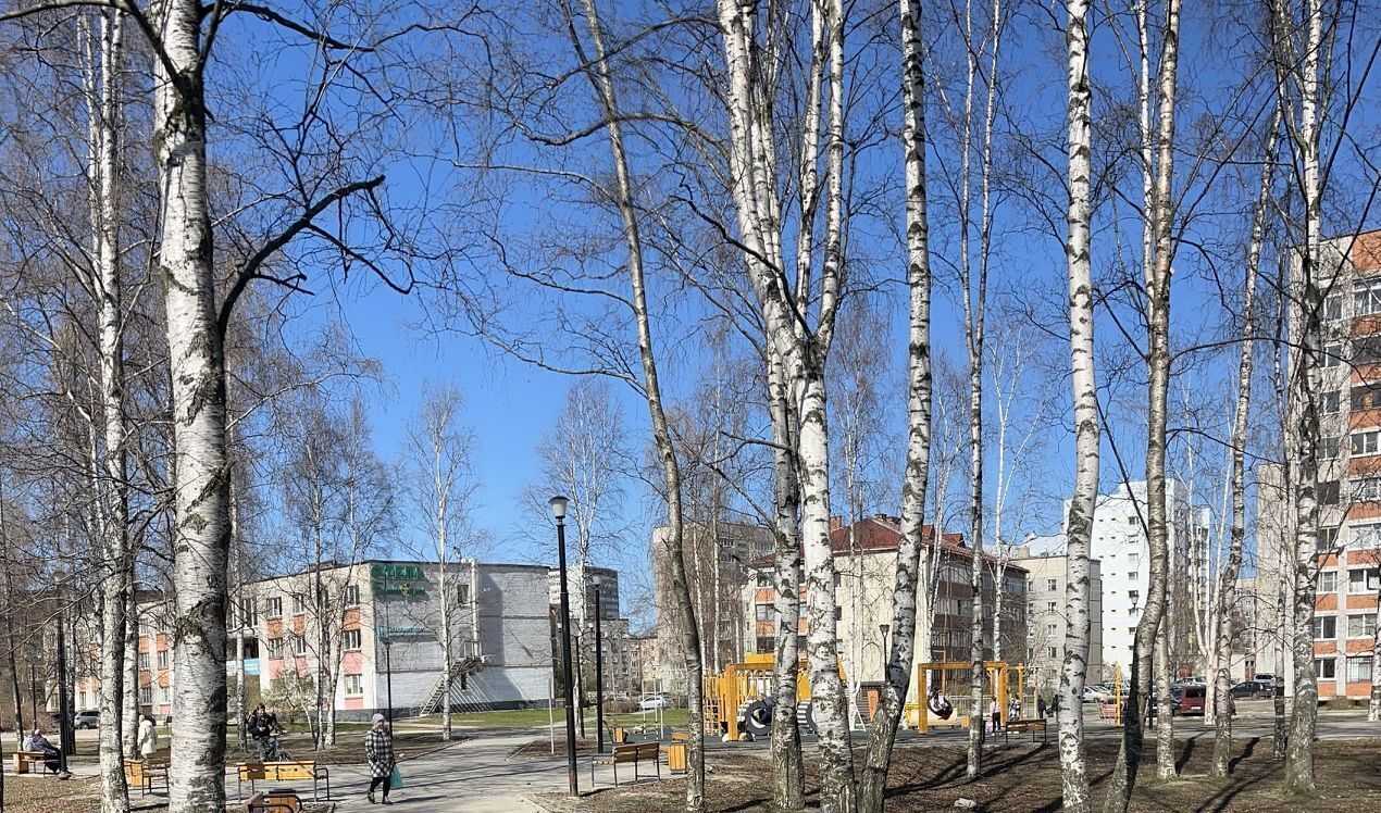 квартира г Петрозаводск ул Мелентьевой 32 Октябрьский фото 29