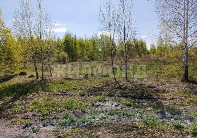 р-н Калининский СТ Сибиряк-2 фото