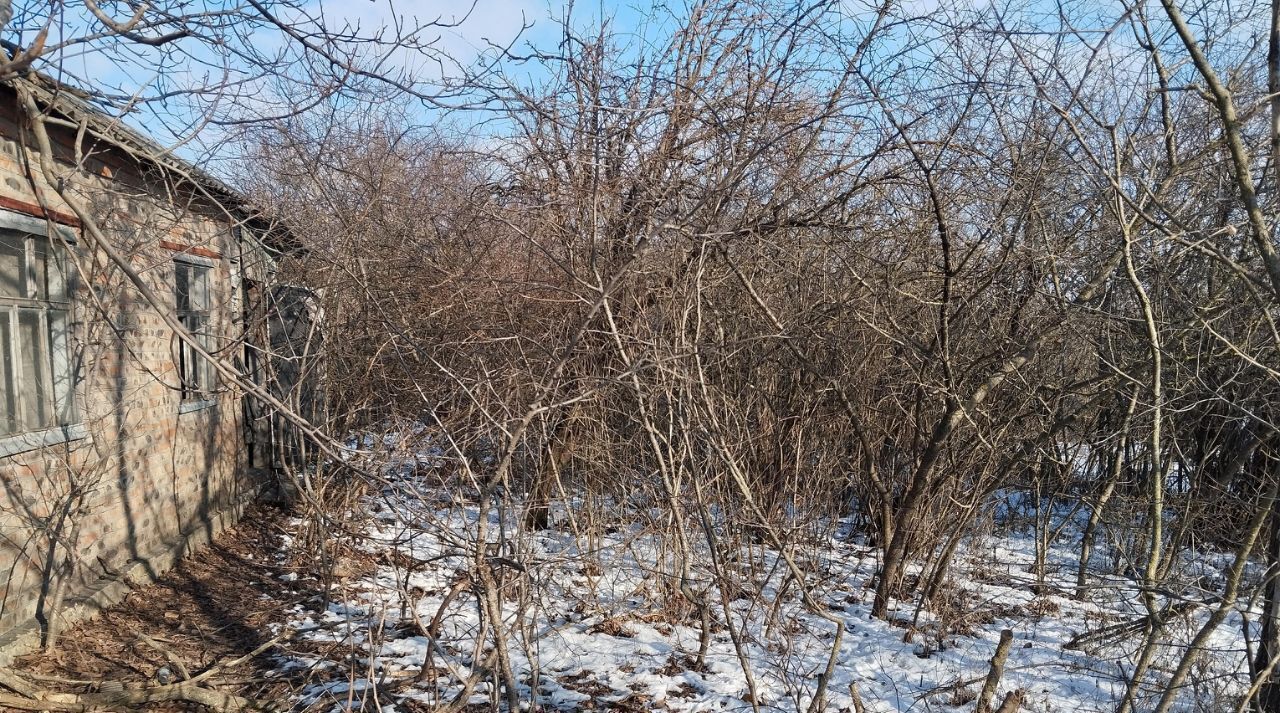 земля г Батайск снт Дружба ул Лиственная фото 3