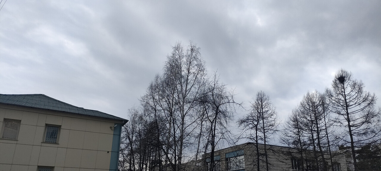 квартира г Новосибирск р-н Советский Шлюз ул Тружеников 7 м-н фото 3