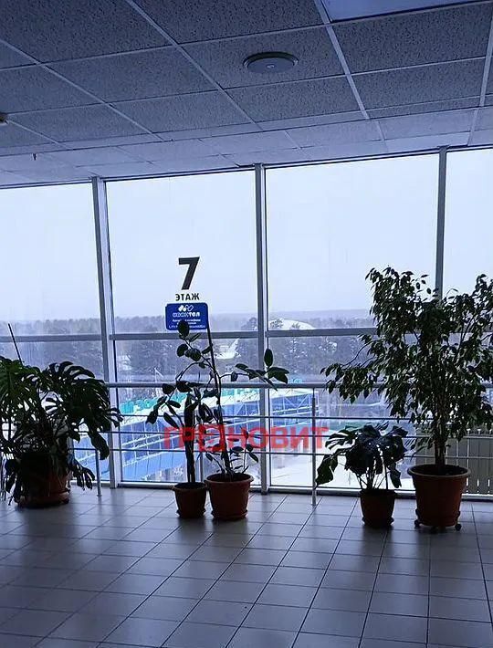 офис г Новосибирск Заельцовская ул Жуковского 102 фото 5