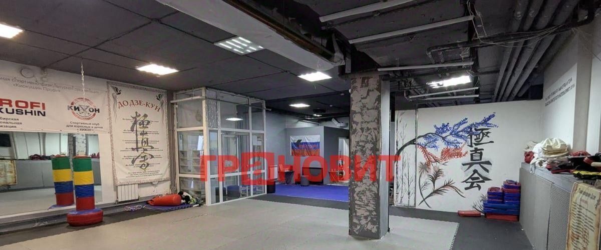 свободного назначения г Новосибирск Маршала Покрышкина ул Некрасова 63/1 фото 8
