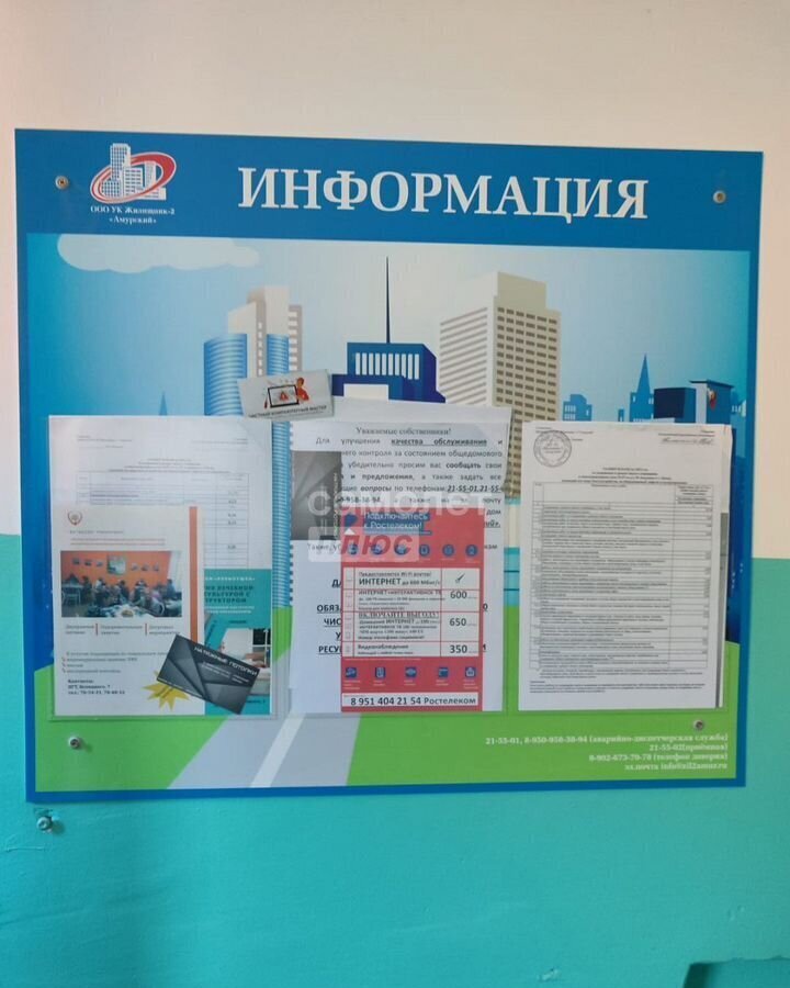 квартира г Омск р-н Центральный ул 20-я Амурская 57 посёлок Амурский фото 19