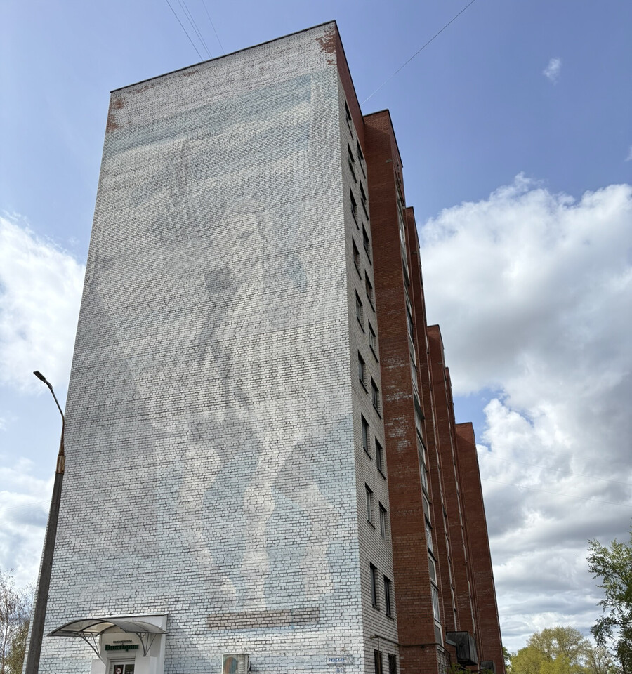 квартира г Псков пр-кт Рижский 2 Шестака, 76 фото 16