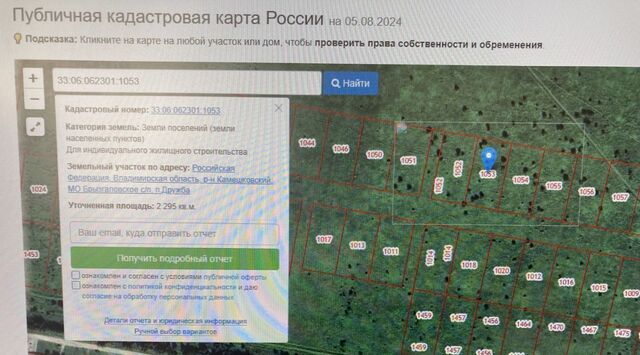 д Брызгалово фото