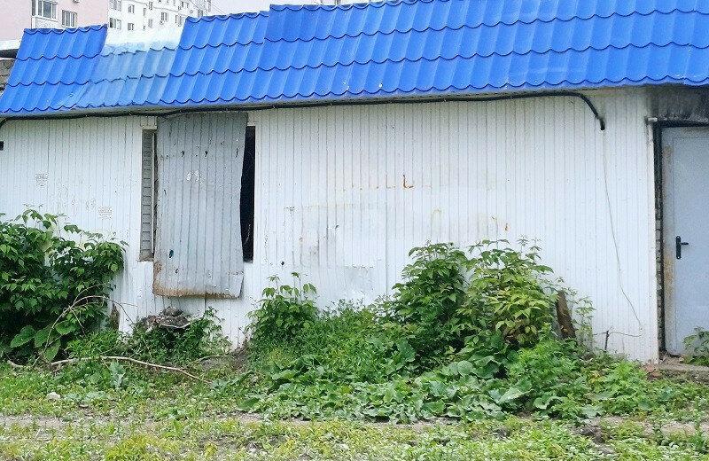 свободного назначения г Саратов р-н Кировский ул Алексеевская фото 2