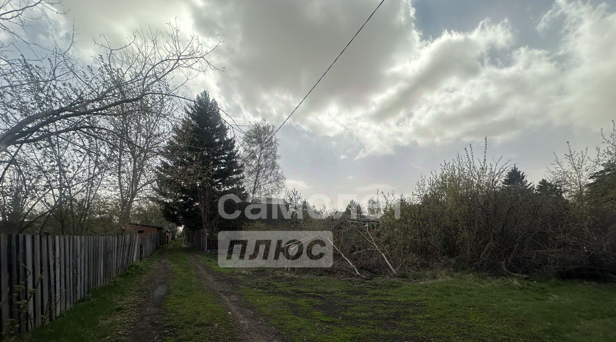 земля г Омск р-н Центральный снт Любитель 232 фото 2