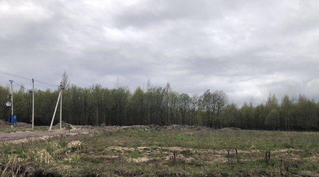 Колтушское городское поселение, Р-21 Кола, 25-й км фото